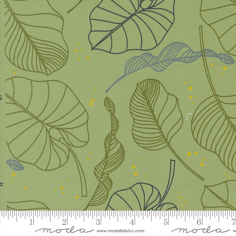 Olive You - Leaves in Olive - Zen Chic - Moda (Pre-order Nov 2024)