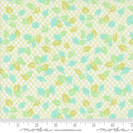 Jelly & Jam - 20493-22 in Green Apple - Fig Tree & Co - Moda