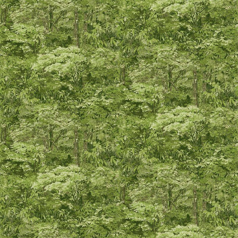 Bear's Den - Packed Trees in Medium Green - Hautman Brothers Wildlife Art - Northcott