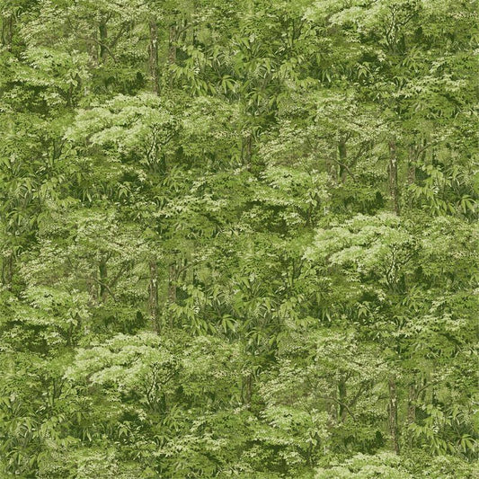 Bear's Den - Packed Trees in Medium Green - Hautman Brothers Wildlife Art - Northcott