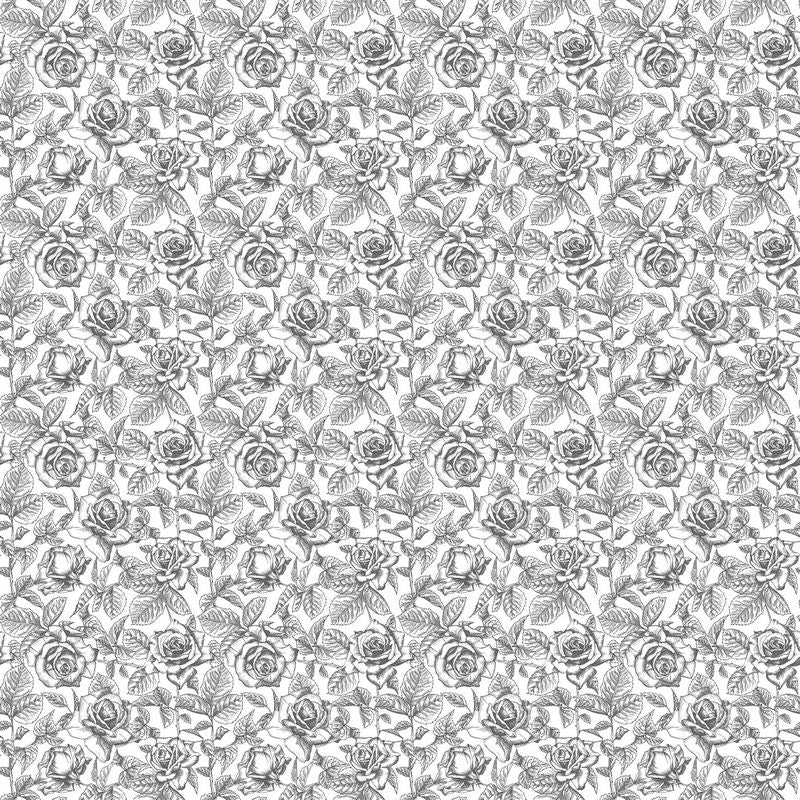 Till Death Do Us Part - Toile Roses in White Grey - Deborah Edwards - Northcott (Pre-order: May 2025)