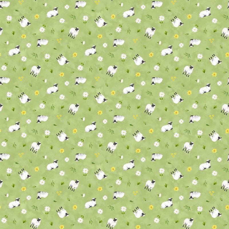 Counting Sheep - Sheep in Light Green Multi - Deborah Edwards - Northcott (Pre-order: Nov 2025)