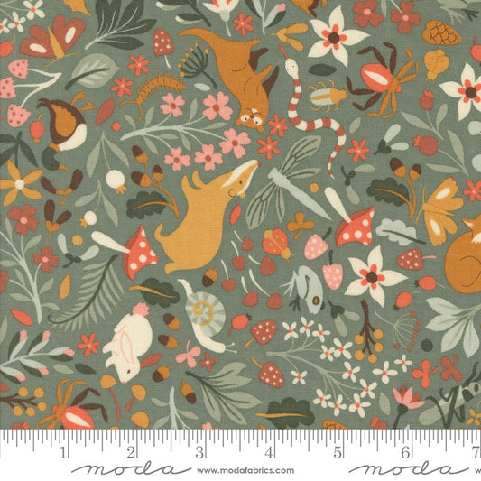 Acorn Hollow - Flora and Fauna in Eucalyptus - BasicGrey - Moda (Pre-order: Jun 2025)