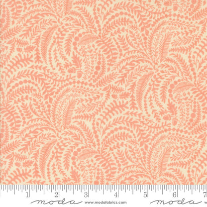 Acorn Hollow - Fat Quarter Bundle - BasicGrey - Moda (Pre-order: Jun 2025)