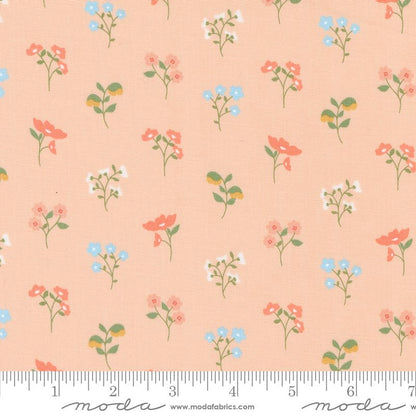 Dainty Meadow - Charm Pack - Heather Briggs - Moda (Pre-order: Oct 2024)