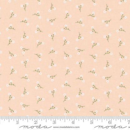 Dainty Meadow - Charm Pack - Heather Briggs - Moda (Pre-order: Oct 2024)