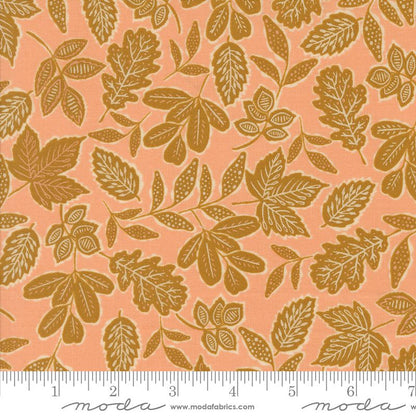 Forage, Found and Hand Me Down - Jelly Roll - Fancy That Design House - Moda (Pre-order: Sept 2025)