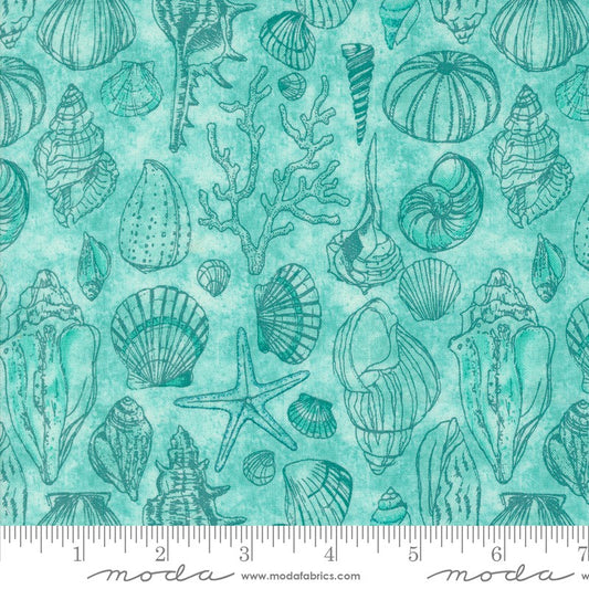 Serena Shores - Sketchy in Aqua - Robin Pickens - Moda