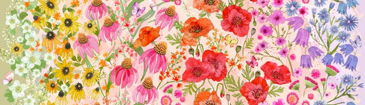 Superbloom - Wildflower Ombre in Pastel - Robin Pickens - Moda (Pre-order: Apr 2025)