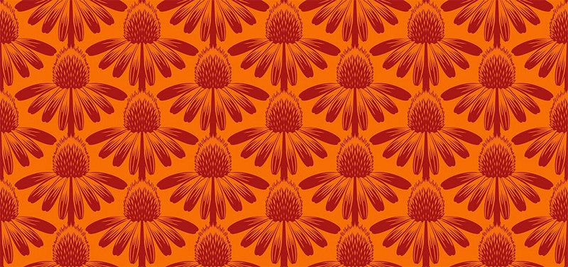 Indelible - Coneflower in Tangerine - Anna Maria Textiles (Northcott) (Pre-order: April 2025)