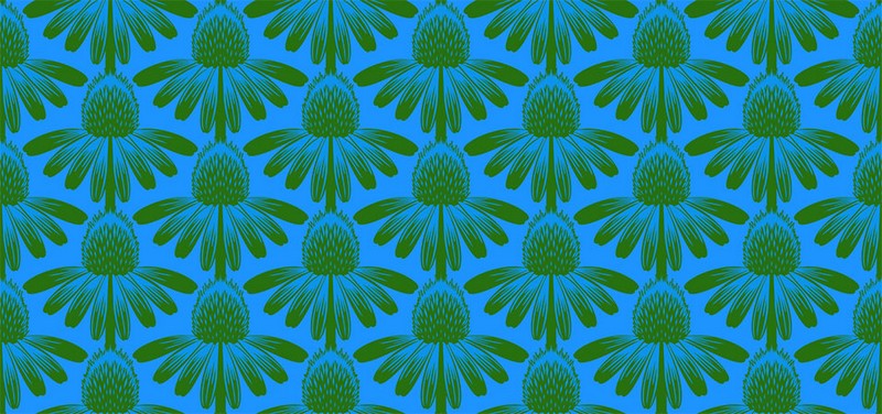 Indelible - Coneflower in Pool - Anna Maria Textiles (Northcott) (Pre-order: April 2025)