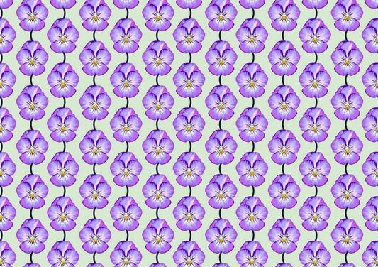 Iconic - Pansy in Lavender - Anna Maria Textiles (Northcott) (Pre-order: May 2025)