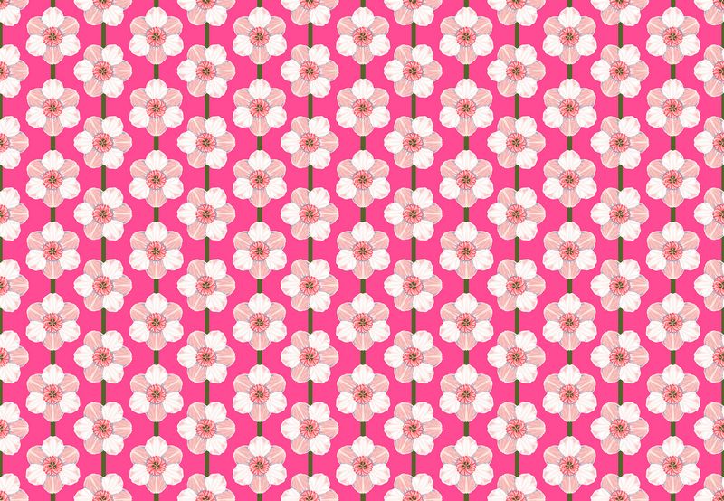 Iconic - Daffodil in Bubblegum - Anna Maria Textiles (Northcott) (Pre-order: May 2025)