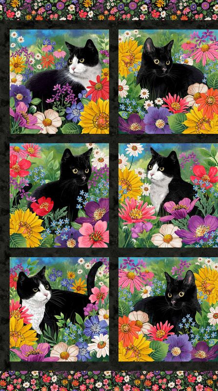 Hide and Seek - Cat Blocks in Black Multi - Deborah Edwards - Northcott (Pre-order: Feb 2025)