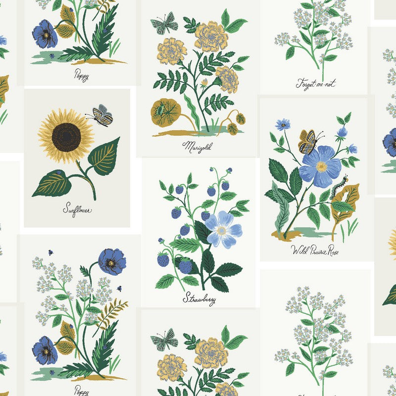 Curio - Botanical Prints in Blue Multi - Rifle Paper Co - Cotton + Steel